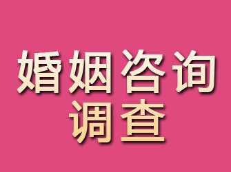 宿松婚姻咨询调查